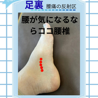 画像396