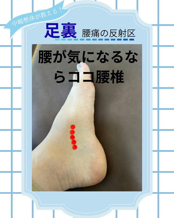 画像396